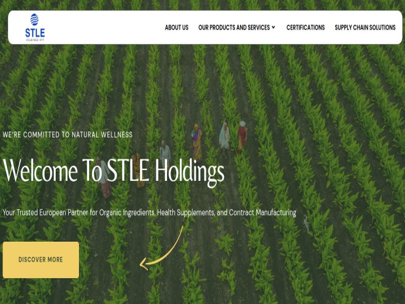 STLE Holdings website homepage